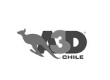 Cliente Rackline